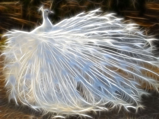 299642 (a): :1600x1200